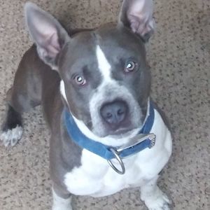 Meet your Posher, Aiden k